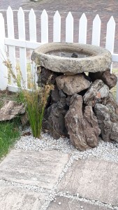 This image has an empty alt attribute; its file name is birdbath-and-grass.jpg